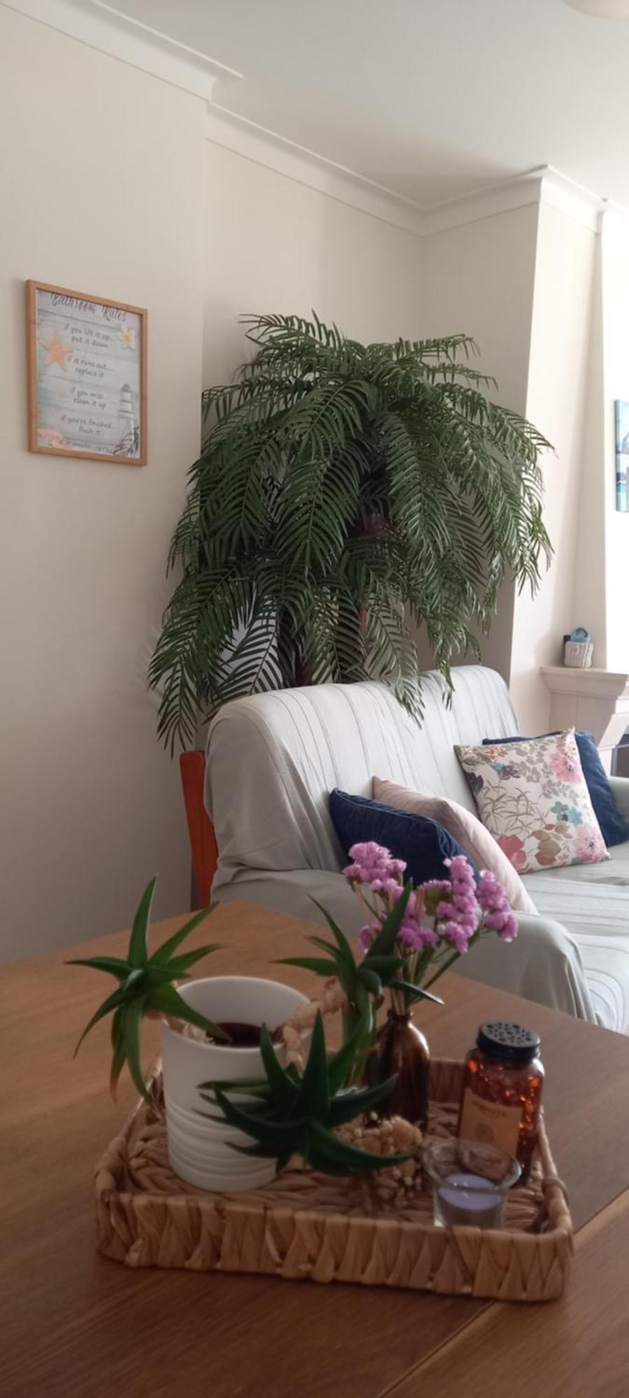 Filipe'S House Διαμέρισμα Baleal Εξωτερικό φωτογραφία